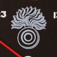 Grenadier Guards Badge Crop