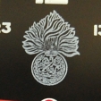 RRF Badge Crop
